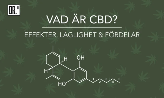 What is CBD and its effects - DR. Herbals