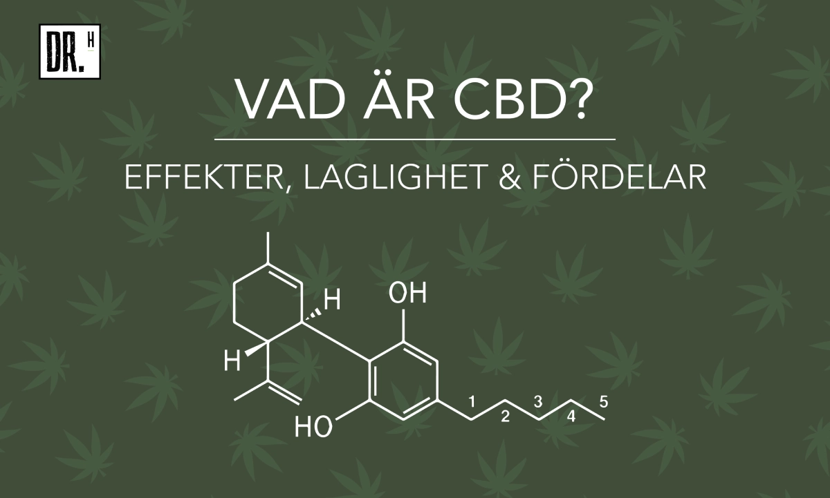 Vad är CBD och dess effekter? - DR. Herbals