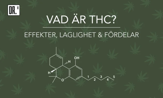 What is THC? How is it legal in Sweden?