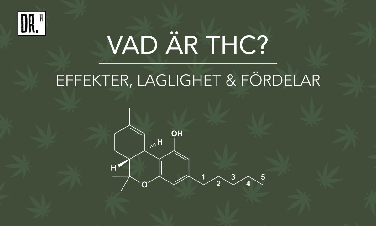 Vad är THC? Hur ser lagligheten ut i Sverige?