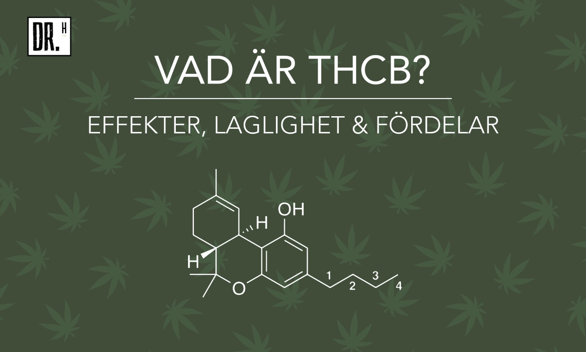 Vad är THCB? - Laglighet, effekter & fördelar