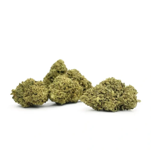 Mushroom Kush - Muscimol Buds - DR. Herbals
