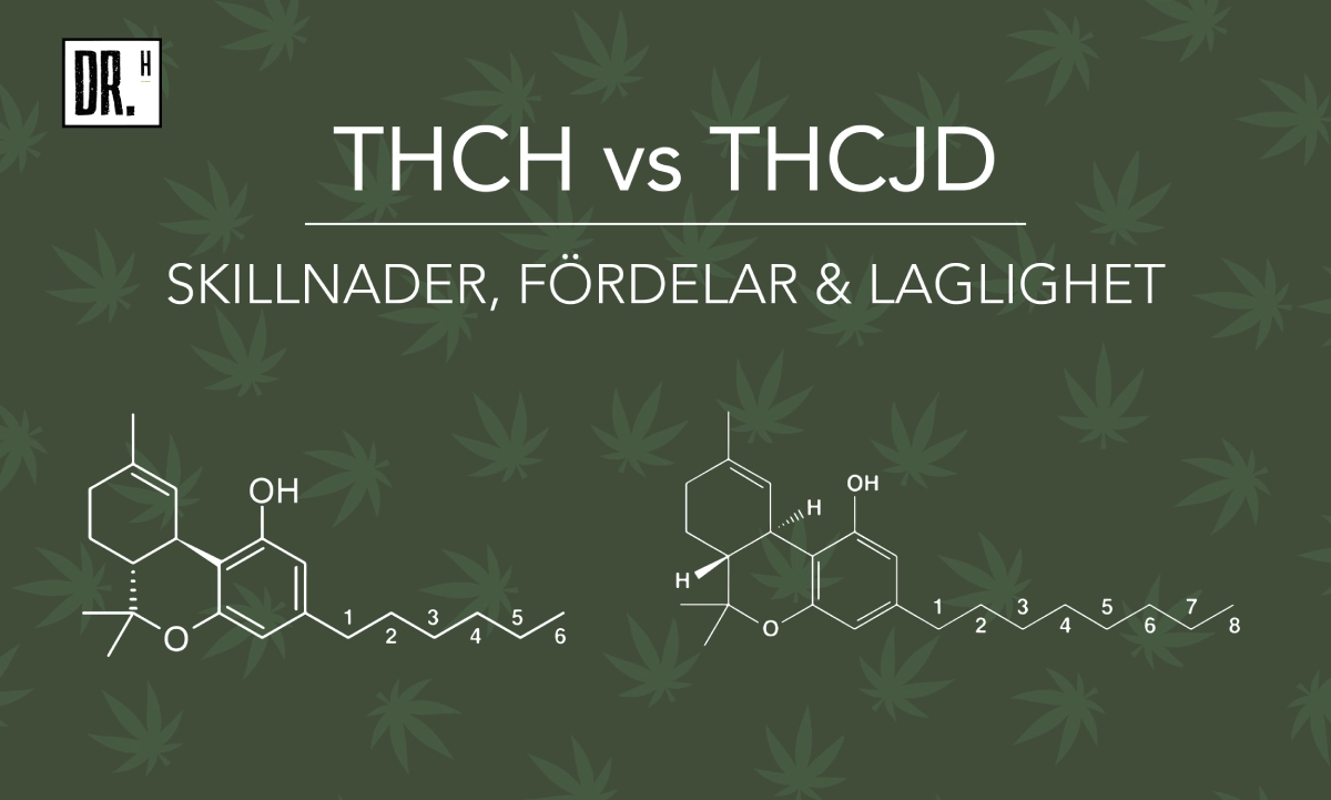 THCH vs THCJD - Fördelar & Laglighet - DR. Herbals