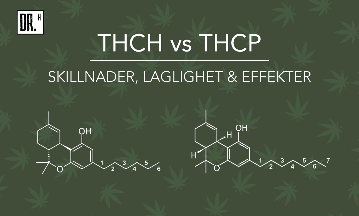 THCH vs THCP - Skillnader - DR. Herbals