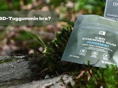 Är CBD Tuggummi Bra? - DR. Herbals