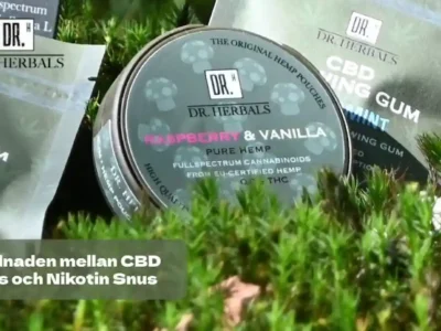 Skillnaden mellan CBD Snus och Nikotin Snus - DR. Herbals