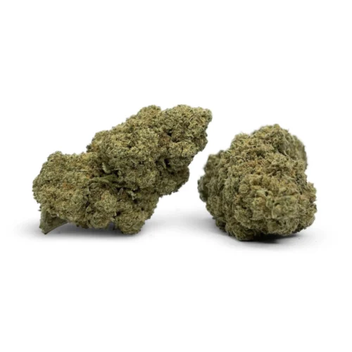 CBD Buds Gelato #41 24% CBD - DR. Herbals