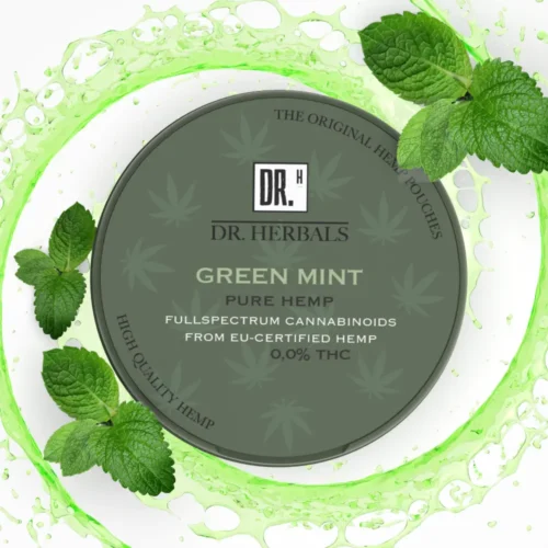 Snus med CBD - Green Mint Hampa snus - DR. Herbals