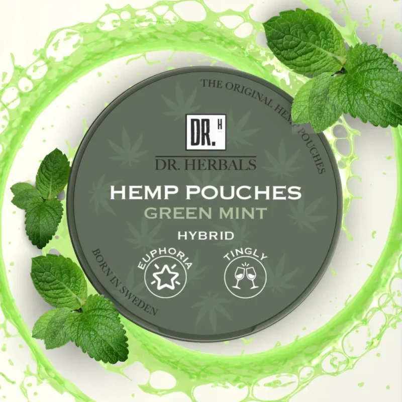 Snus mit CBD - Grüner Minze Hanf Snus - DR. Herbals