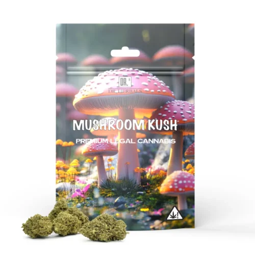 Mushroom Kush - Muscimol Buds - DR. Herbals