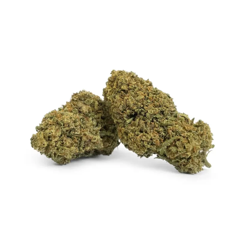 THCB Buds - Super Lemon Haze - DR. Herbals