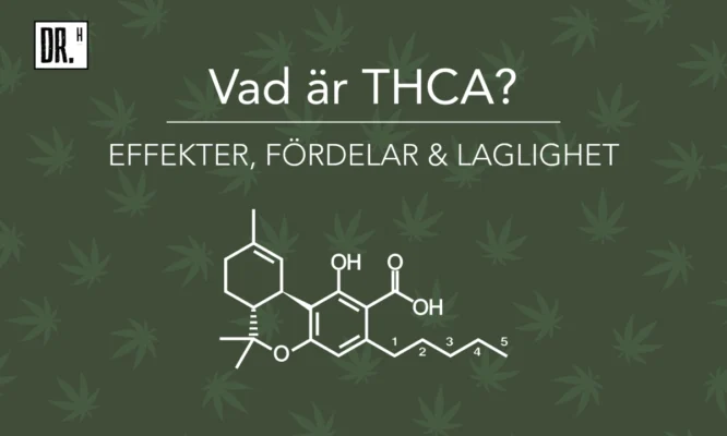 What is THCA? Effects, Legality & Benefits - DR. Herbals