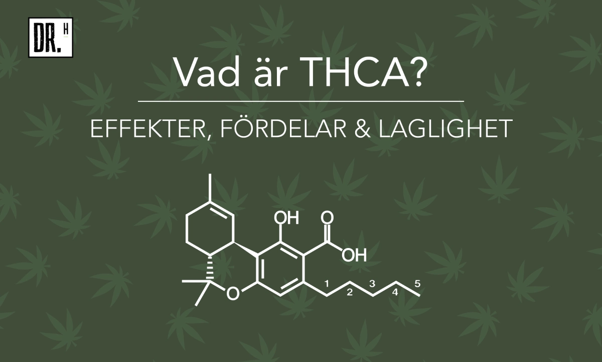 What is THCA? Effects, Legality & Benefits - DR. Herbals