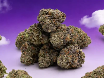 Här kan du köpa THCA lagligt - DR. Herbals