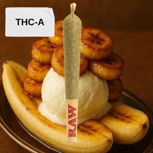 FRIED BANANA THCA
