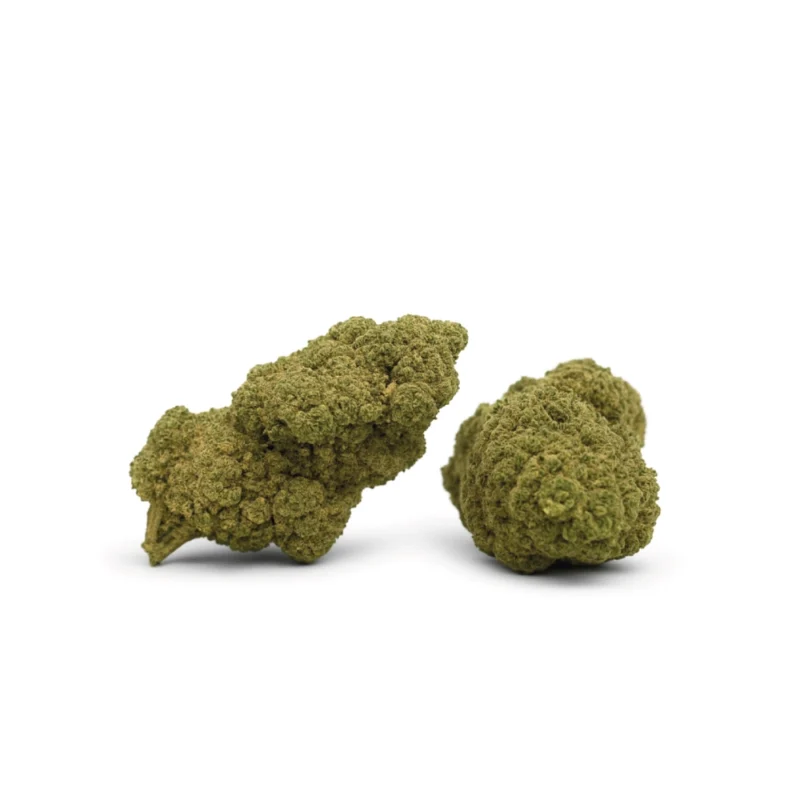 Gelato #41 - CBD Buds - DR. Herbals