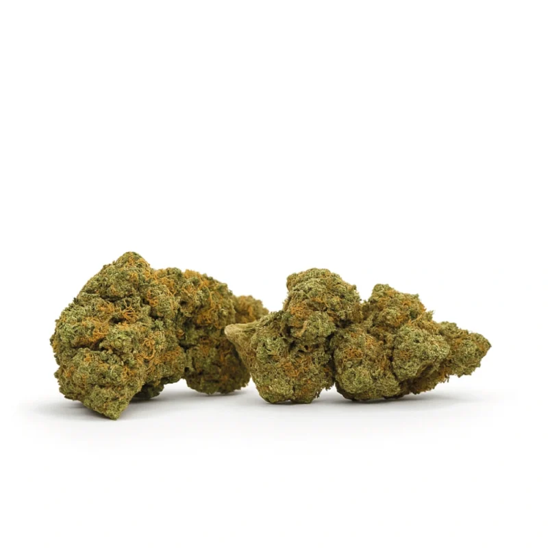 M.A.C - CBD Buds - DR. Herbals