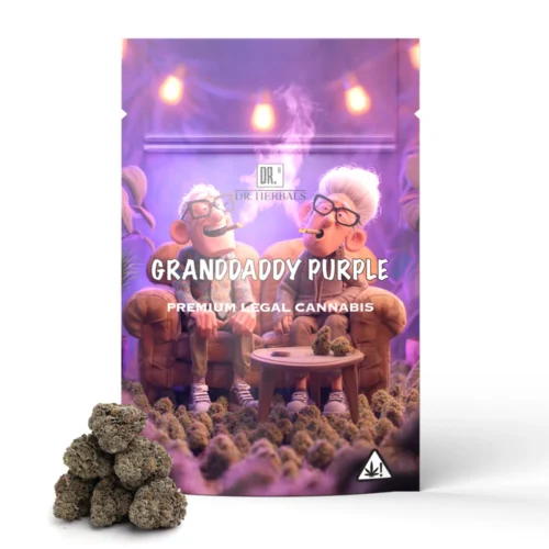 THCA Buds - Granddaddy Purple - DR. Herbals