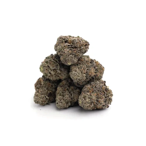 Granddaddy Purple - THCA Buds - DR. Herbals