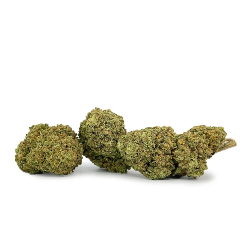 Pineapple Express - THCA Buds - DR. Herbals