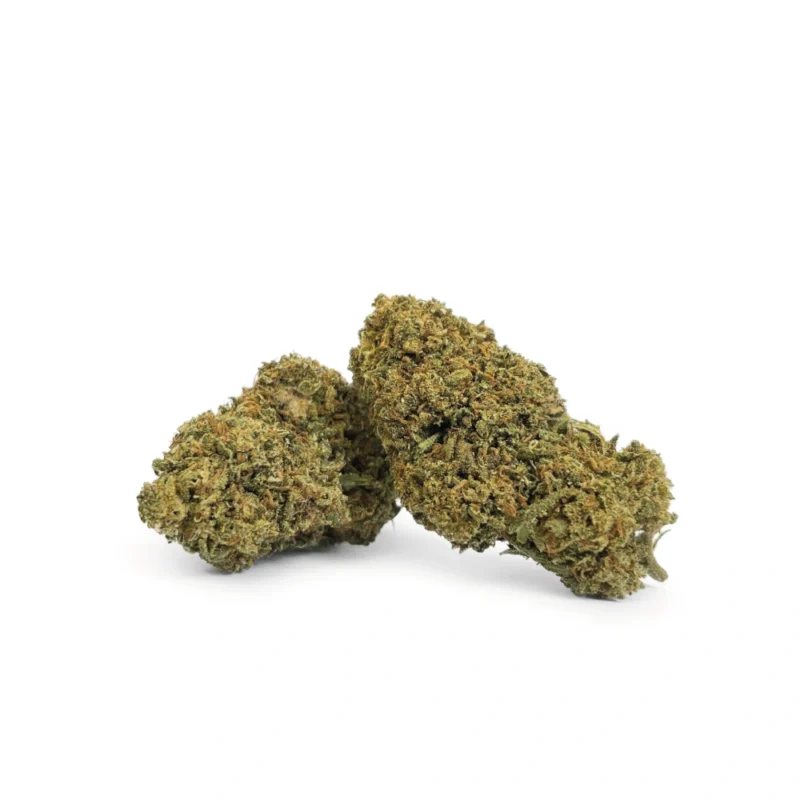 THCB Buds - Super Lemon Haze - DR. Herbals