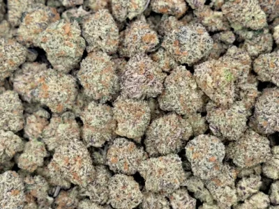 Vad är THCA Buds? - DR. Herbals