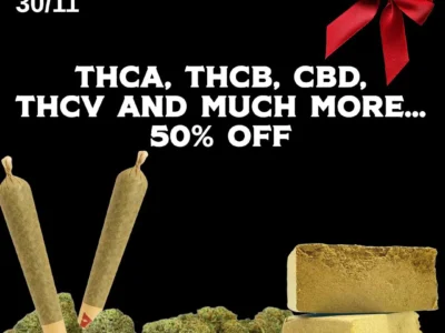 BLACK FRIDAY - THCA, THCB & CBD - DR. Herbals