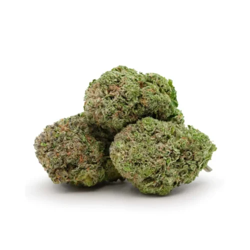 THCA Buds - Master OG Kush / INDICA