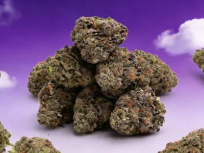 Här kan du köpa THCA lagligt - DR. Herbals