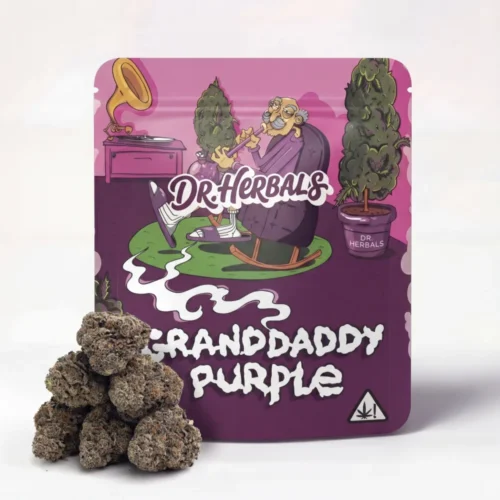 Granddaddy Purple - THCA Buds - DR. Herbals