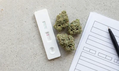 THCA och drogtest - DR. Herbals