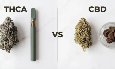 THCA vs CBD - DR. Herbals