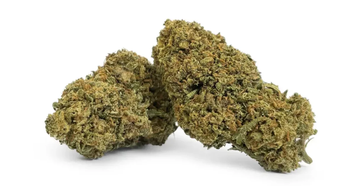 THCB Buds - Super Lemon Haze - DR. Herbals
